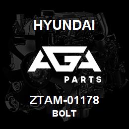ZTAM-01178 Hyundai Construction BOLT | AGA Parts