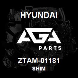 ZTAM-01181 Hyundai Construction SHIM | AGA Parts