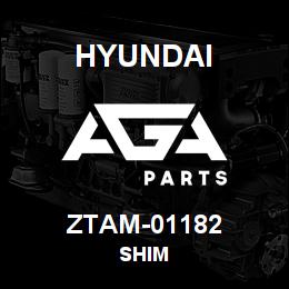 ZTAM-01182 Hyundai Construction SHIM | AGA Parts