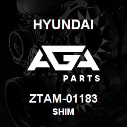 ZTAM-01183 Hyundai Construction SHIM | AGA Parts