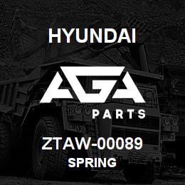 ZTAW-00089 Hyundai Construction SPRING | AGA Parts