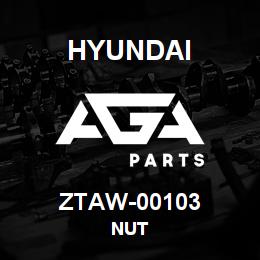 ZTAW-00103 Hyundai Construction NUT | AGA Parts