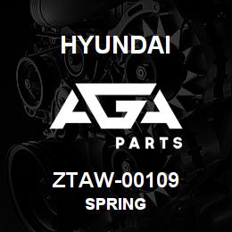 ZTAW-00109 Hyundai Construction SPRING | AGA Parts
