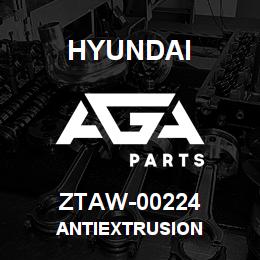 ZTAW-00224 Hyundai Construction ANTIEXTRUSION | AGA Parts
