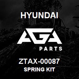ZTAX-00087 Hyundai Construction SPRING KIT | AGA Parts