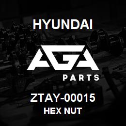 ZTAY-00015 Hyundai Construction HEX NUT | AGA Parts