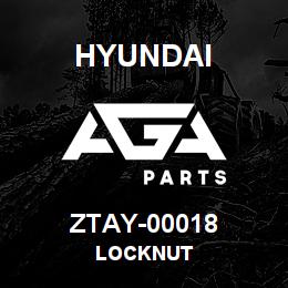 ZTAY-00018 Hyundai Construction LOCKNUT | AGA Parts