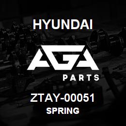 ZTAY-00051 Hyundai Construction SPRING | AGA Parts