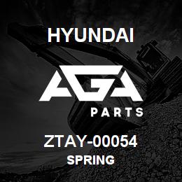 ZTAY-00054 Hyundai Construction SPRING | AGA Parts
