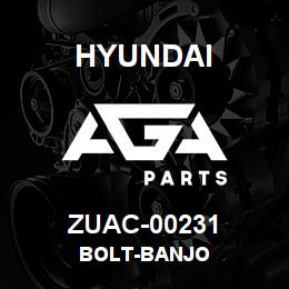ZUAC-00231 Hyundai Construction BOLT-BANJO | AGA Parts