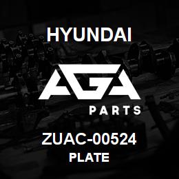 ZUAC-00524 Hyundai Construction PLATE | AGA Parts