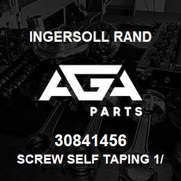 30841456 Ingersoll Rand SCREW SELF TAPING 1/4 | AGA Parts