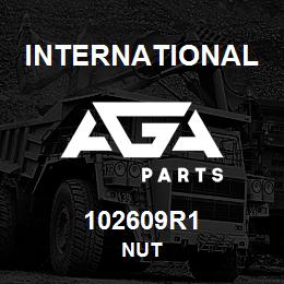102609R1 International NUT | AGA Parts