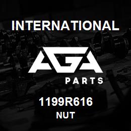 1199R616 International NUT | AGA Parts