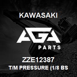ZZE12387 Kawasaki T/M PRESSURE (1/8 BSPM) | AGA Parts