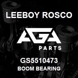 GS5510473 Leeboy Rosco BOOM BEARING | AGA Parts