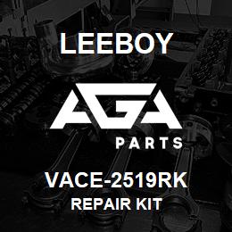 VACE-2519RK Leeboy REPAIR KIT | AGA Parts