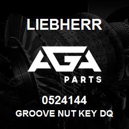 0524144 Liebherr GROOVE NUT KEY DQ | AGA Parts