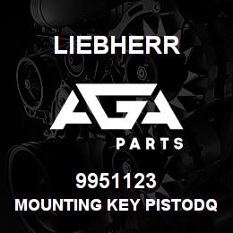 9951123 Liebherr MOUNTING KEY PISTODQ | AGA Parts
