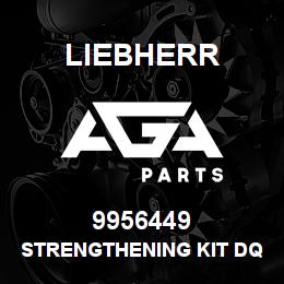 9956449 Liebherr STRENGTHENING KIT DQ | AGA Parts