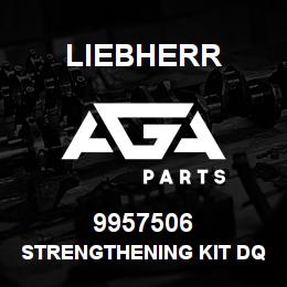 9957506 Liebherr STRENGTHENING KIT DQ | AGA Parts