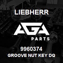 9960374 Liebherr GROOVE NUT KEY DQ | AGA Parts