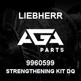 9960599 Liebherr STRENGTHENING KIT DQ | AGA Parts