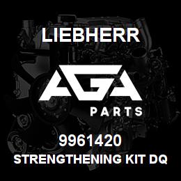 9961420 Liebherr STRENGTHENING KIT DQ | AGA Parts