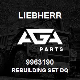 9963190 Liebherr REBUILDING SET DQ | AGA Parts