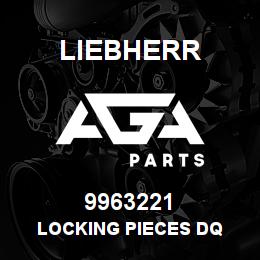 9963221 Liebherr LOCKING PIECES DQ | AGA Parts