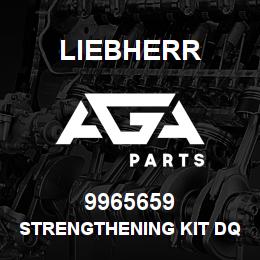 9965659 Liebherr STRENGTHENING KIT DQ | AGA Parts