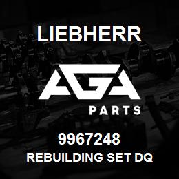 9967248 Liebherr REBUILDING SET DQ | AGA Parts