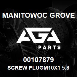 00107879 Manitowoc Grove SCREW PLUGM10X1 5.8 | AGA Parts