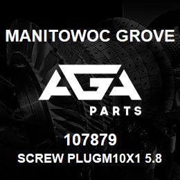 107879 Manitowoc Grove SCREW PLUGM10X1 5.8 | AGA Parts