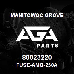 80023220 Manitowoc Grove FUSE-AMG-250A | AGA Parts