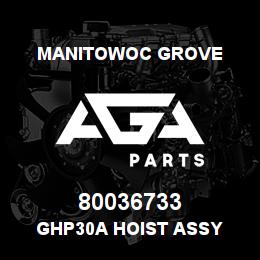 80036733 Manitowoc Grove GHP30A HOIST ASSY | AGA Parts