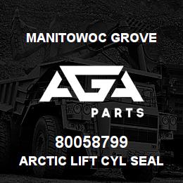 80058799 Manitowoc Grove ARCTIC LIFT CYL SEAL KIT | AGA Parts