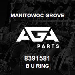 8391581 Manitowoc Grove B U RING | AGA Parts