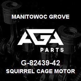 G-82439-42 Manitowoc Grove SQUIRREL CAGE MOTOR | AGA Parts