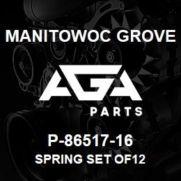 P-86517-16 Manitowoc Grove SPRING SET OF12 | AGA Parts