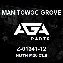 Z-01341-12 Manitowoc Grove NUTH M20 CL8 | AGA Parts