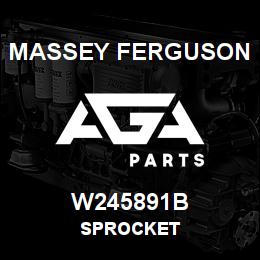 W245891B Massey Ferguson SPROCKET | AGA Parts