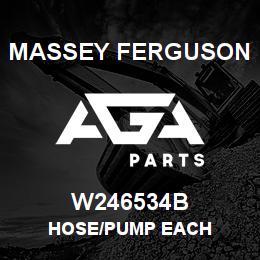 W246534B Massey Ferguson HOSE/PUMP EACH | AGA Parts