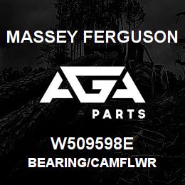 W509598E Massey Ferguson BEARING/CAMFLWR | AGA Parts