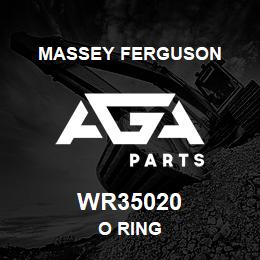 WR35020 Massey Ferguson O RING | AGA Parts