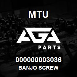 000000003036 MTU Banjo Screw | AGA Parts