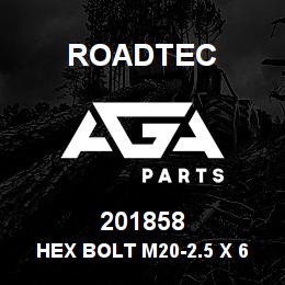 201858 Roadtec HEX BOLT M20-2.5 X 60 10.9 933 | AGA Parts