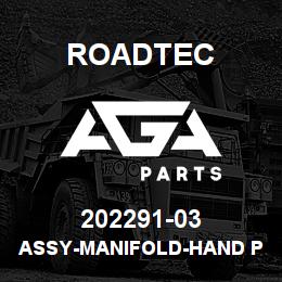 202291-03 Roadtec ASSY-MANIFOLD-HAND PUMP/PILOT VALVS | AGA Parts