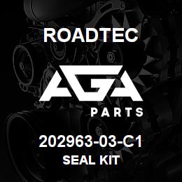 202963-03-C1 Roadtec SEAL KIT | AGA Parts