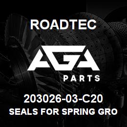 203026-03-C20 Roadtec SEALS FOR SPRING GROUP | AGA Parts